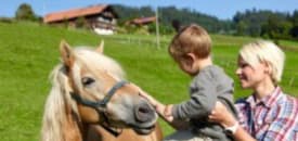 BAUERNHÖFE im Allgäu BAUERNHÖFE im Allgäu