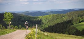 Radurlaub im Schwarzwald Radurlaub im Schwarzwald